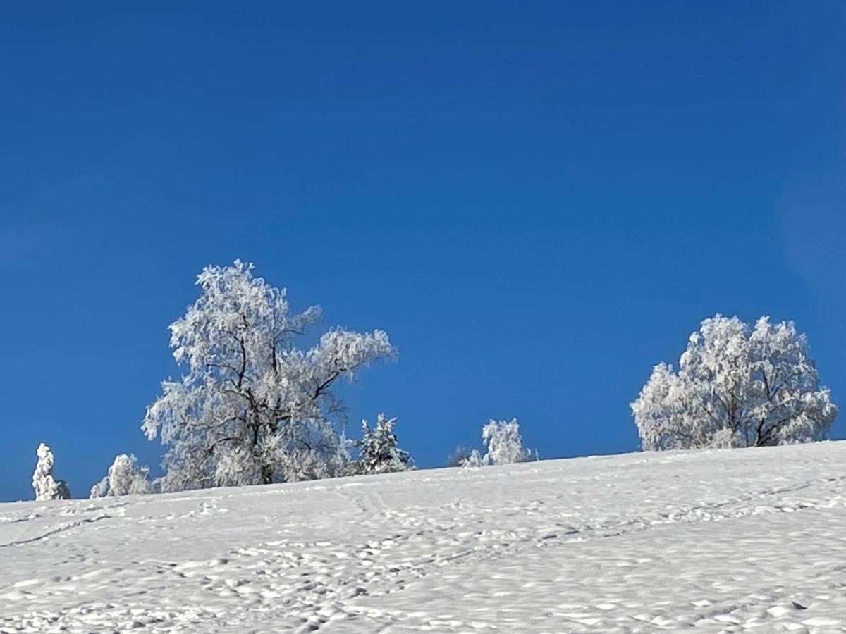 Appartementanlage Kerber Seefeld in Tirol Esterno foto